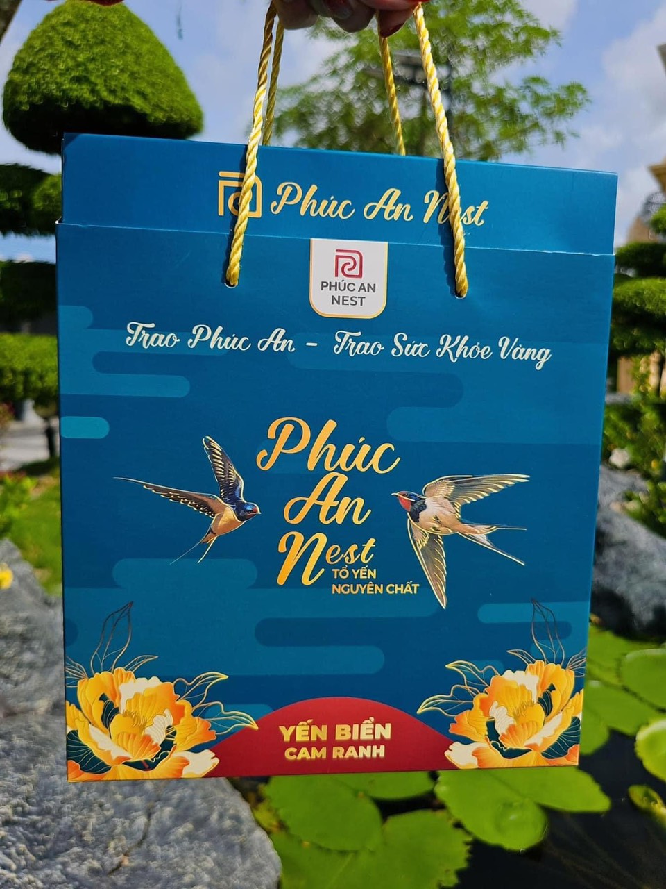 z5710940732243_a07182fa0955eed8944ee1b4038f45e6