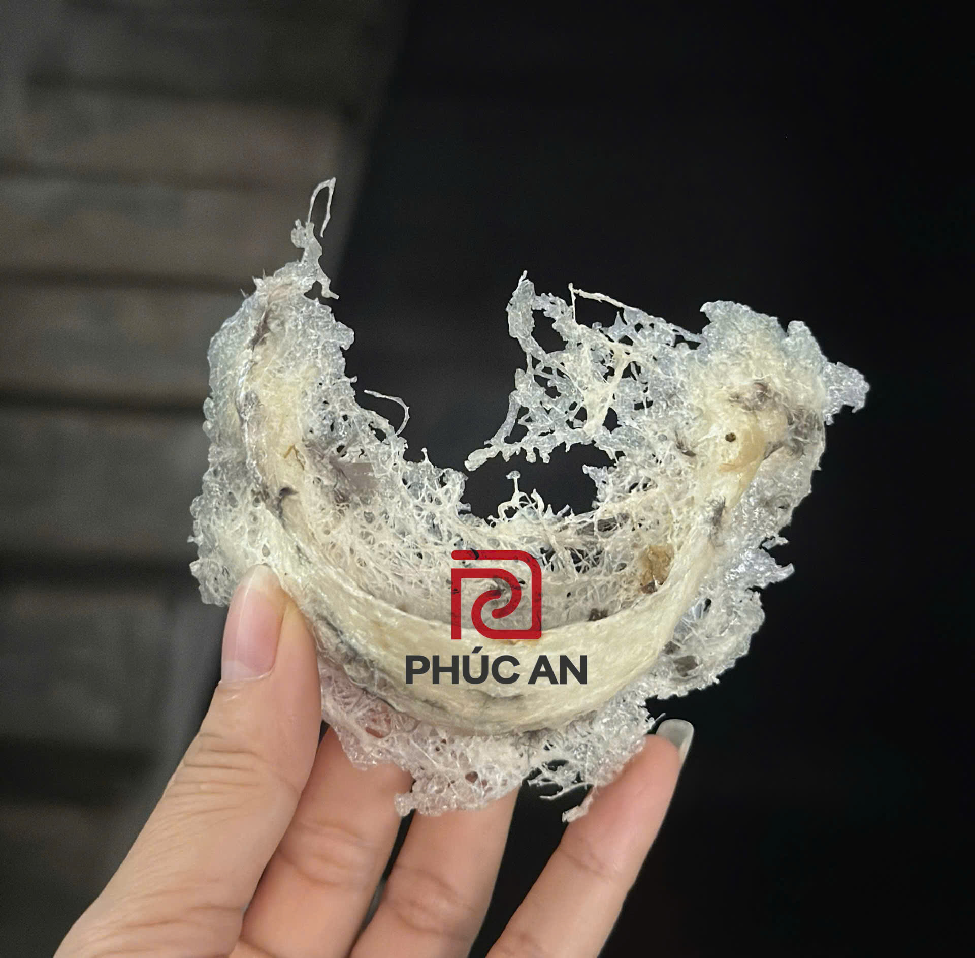 z5793020486088_7950944a337edbbe7ac4d1ed03198e98