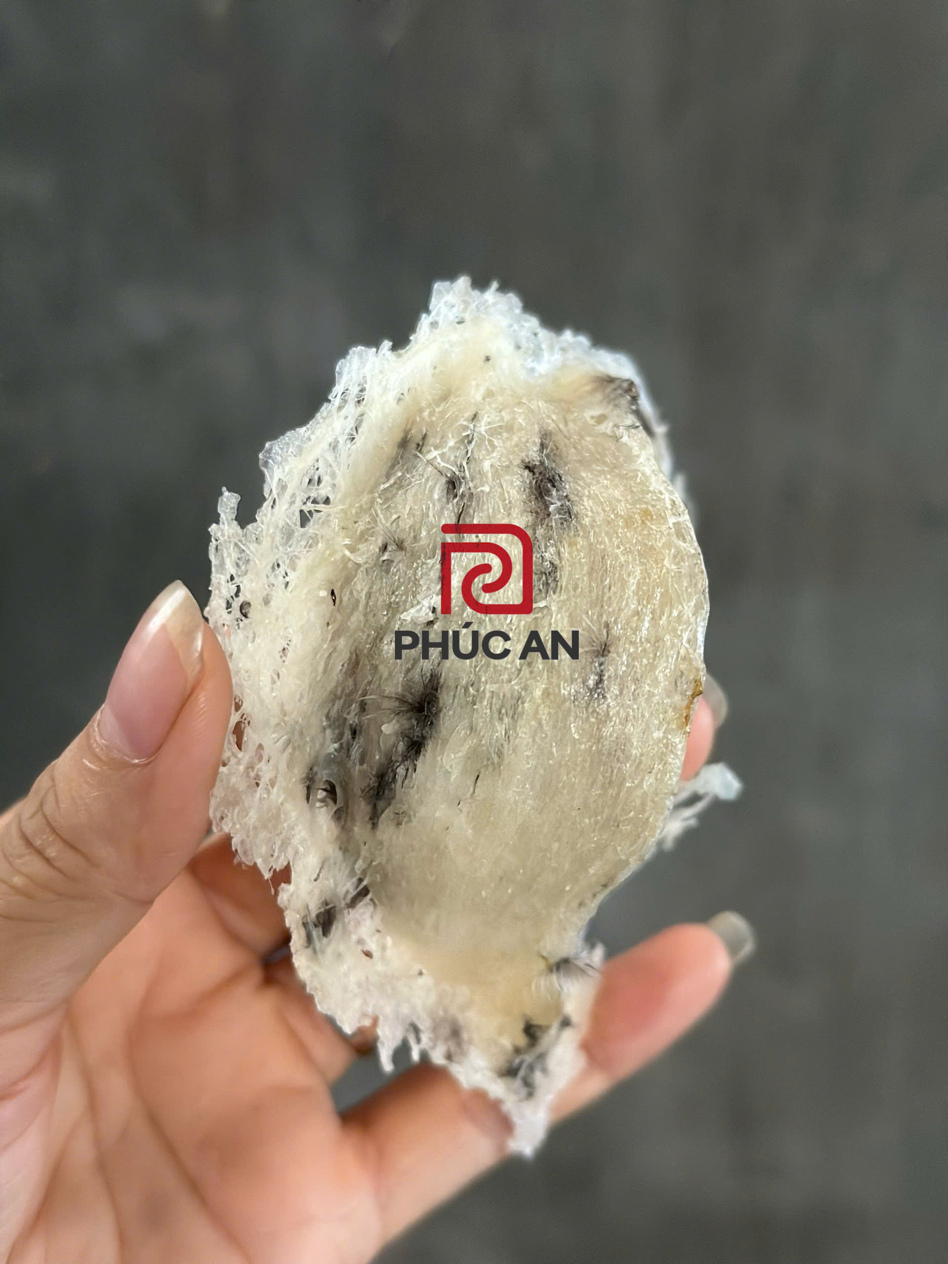 z5793020486478_4201b87c36bb196fb39caf98c0f2445b