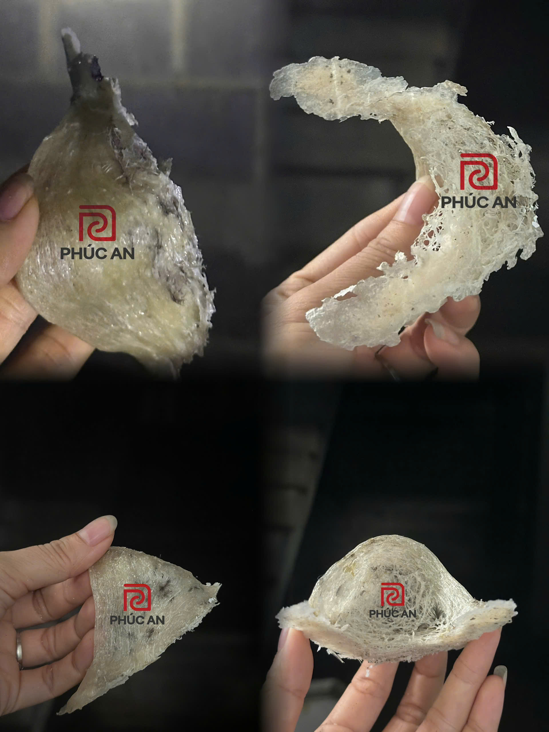 z5798816887010_a265649b7ade7b21e832dfa7e21540b1