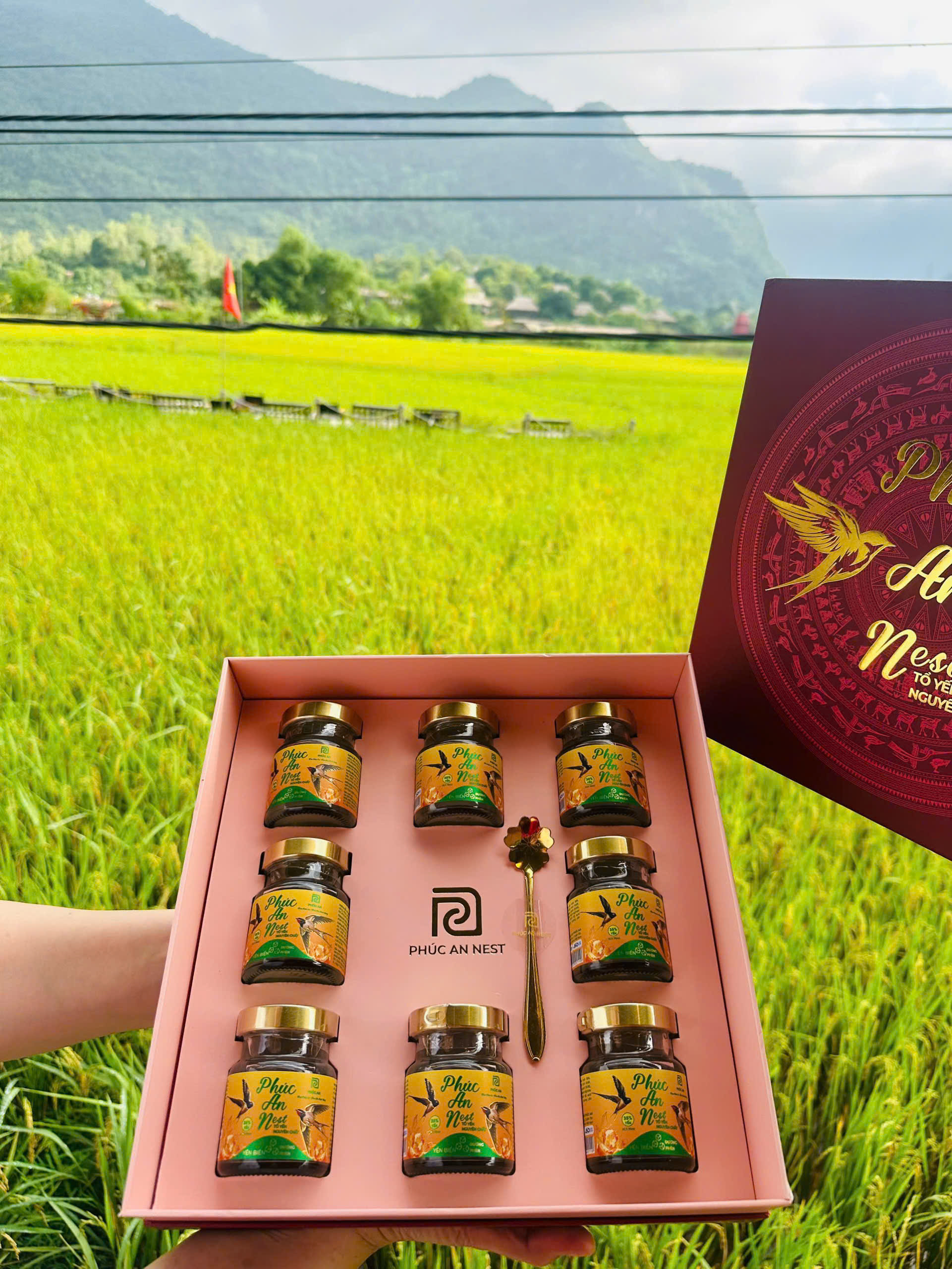 94b1d9abe5cb5d9504da6